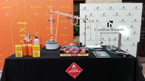 master class ginebra, castillo del marques, gin ballix, frutas trops, escuela de hosteria, ies maria zambrano,