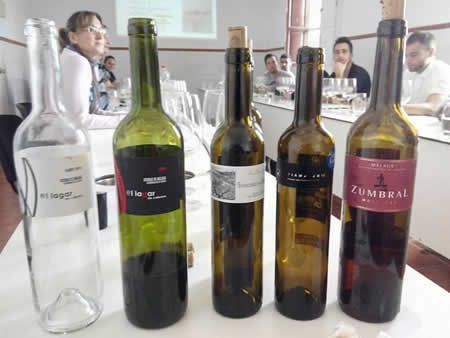 cata dimobe, castillodelmarques, ies maria zambrano, sabor a malaga, vinos sabor a malaga, vinos malagueños, alumnos escuela hosteleria,